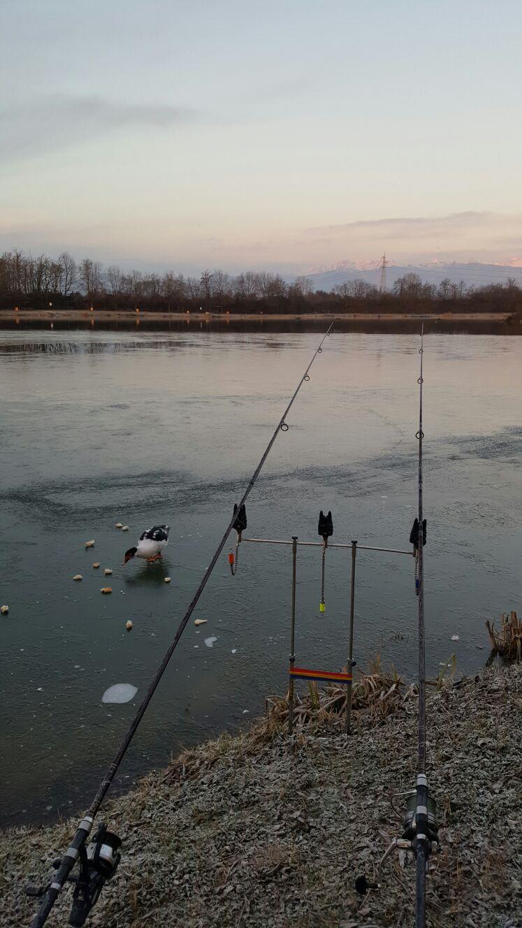 ISOLA DEL PESCATORE 22 ianuarie 2017 - img4810.JPG